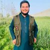noorullah366