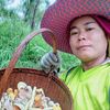 แก่นนคร ขายทุกอย่าง
