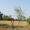 hasnainzaffar1
