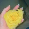 i.fadiaah