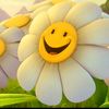 user31313451