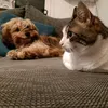 baileysmom11