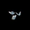 butterfly_butterflyyyyyy