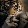 _dio.777