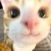 jisoostar01