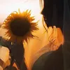 bong_gon1227