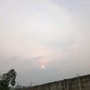 pipin_im