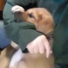 pixelatedmylo