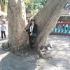 cocl.com