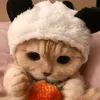 meohipnhatchan1234