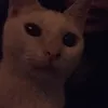 _mihanhhw