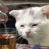 meblancc