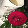 soso_n774