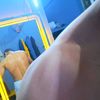 sefoo_266