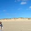 jimeli22