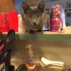londyn_81