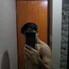cesarph24
