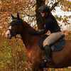.eq.emilie