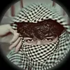 qut4._.hawlery