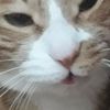 amymalone05