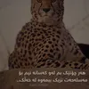narimanhawlery