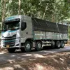 tihino500