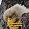 joseyteresa2