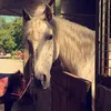 estelleugolin