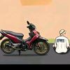 user_supra1255