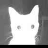 th3_hiv3mind