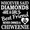 thizinloo
