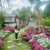 thanhvan2802