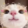 xun__15
