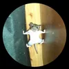 cguonf
