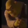 bisbis_naa
