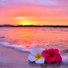 user00371025julie