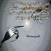 abosaif839