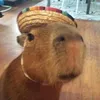 capyboiii_m