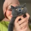 dooodomohammed