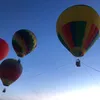mt_2950