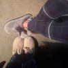 yesnoyesno369