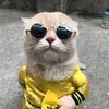 _anhhatnhai03