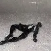 akkermansanya