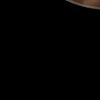 lpb1nyy__
