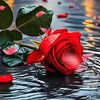 rooh__40