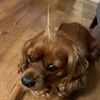 winnie.the.ruby
