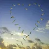 usercalisaeed13919yasiry