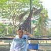 trinhtongphiphai