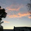 sonny_362