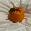 s.s.4.2.7